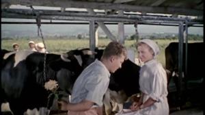Кадры из фильма Яблоко раздора (1962)