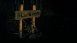 Кадры из фильма Блэквуд / Blackwood (2014)