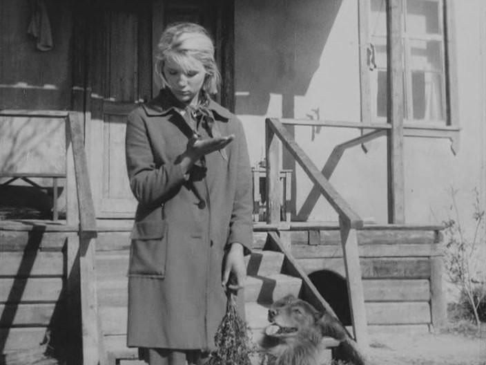 Кадр из фильма Дикая собака Динго (1962)