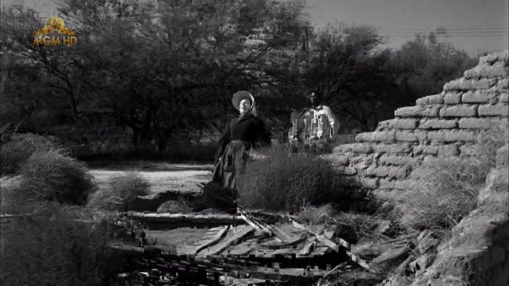 Кадр из фильма Полевые лилии / Lilies of the Field (1963)