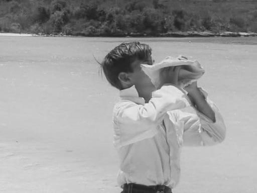 Кадр из фильма Повелитель мух / Lord of the Flies (1963)