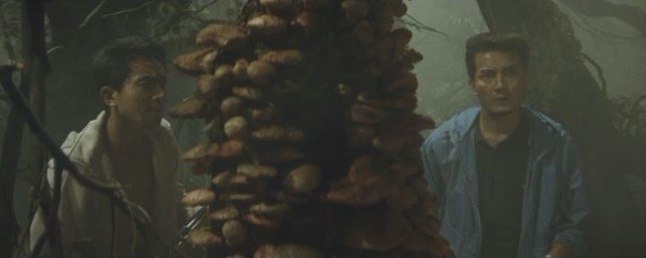 Кадр из фильма Нападение людей-грибов / Matango (1963)