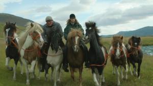Кадры из фильма О лошадях и людях / Hross í oss (2014)