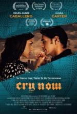 Рыдай сейчас / Cry Now (2014)