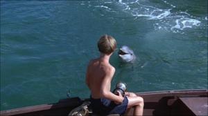 Кадры из фильма Новые приключения Флиппера / Flipper's New Adventure (1964)