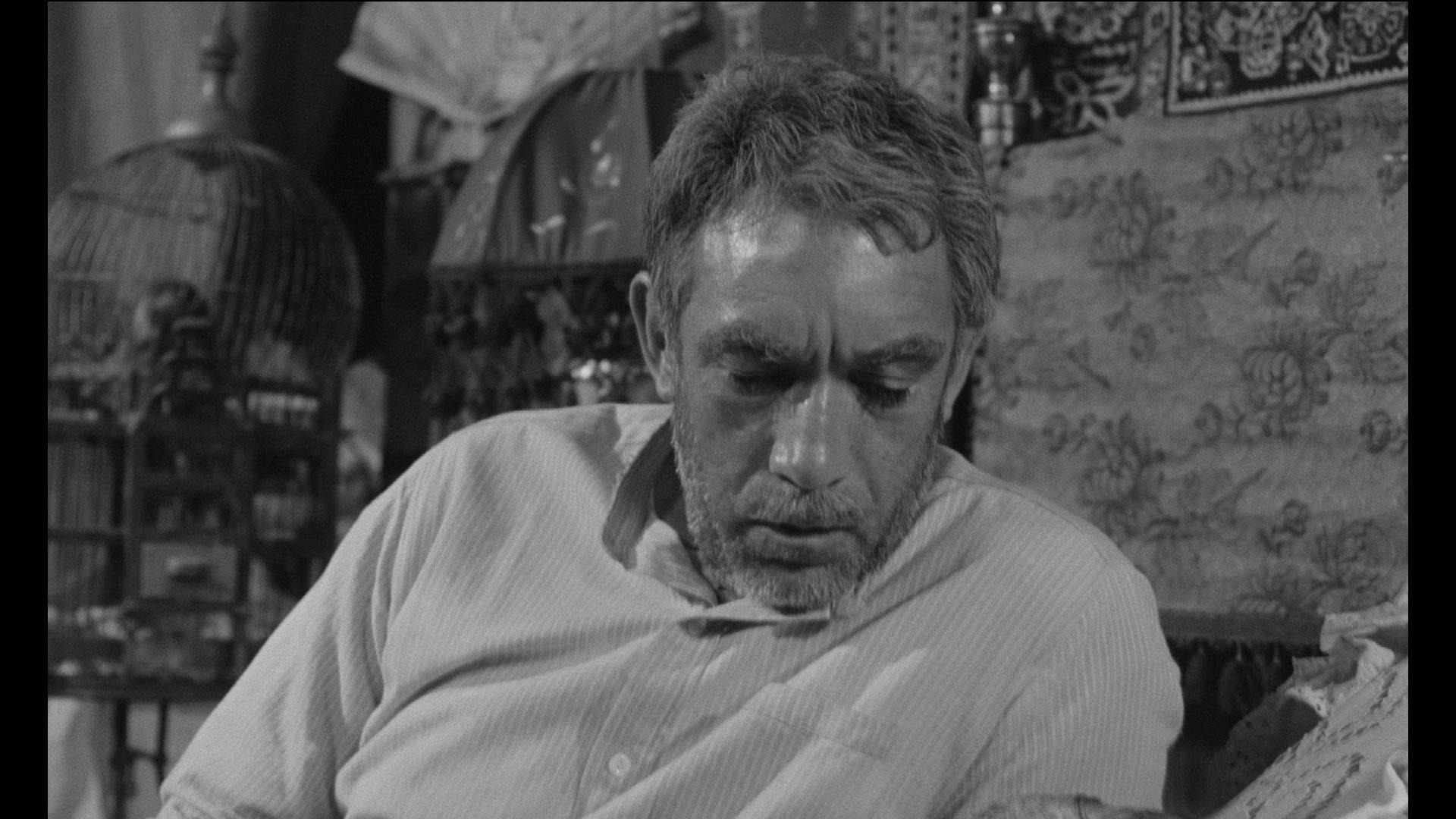 Кадр из фильма Грек Зорба / Alexis Zorbas (1964)