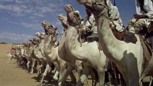 Кадры из фильма Джихад / Khartoum (1966)