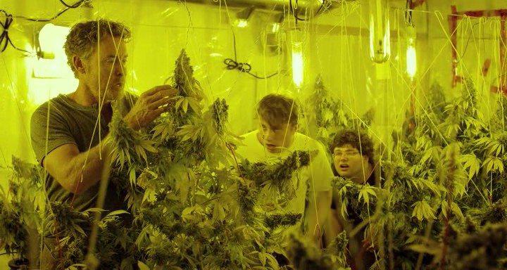 Кадр из фильма Малыш-каннабис / Kid Cannabis (2014)