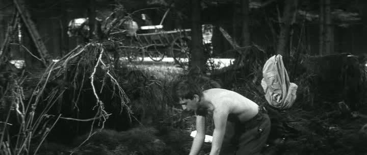 Кадр из фильма Повозка в Вену / Kocár do Vídne (1966)