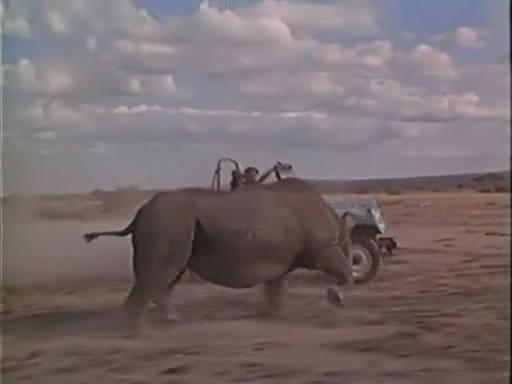 Кадр из фильма Последнее сафари / The Last Safari (1967)