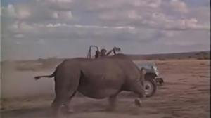 Кадры из фильма Последнее сафари / The Last Safari (1967)