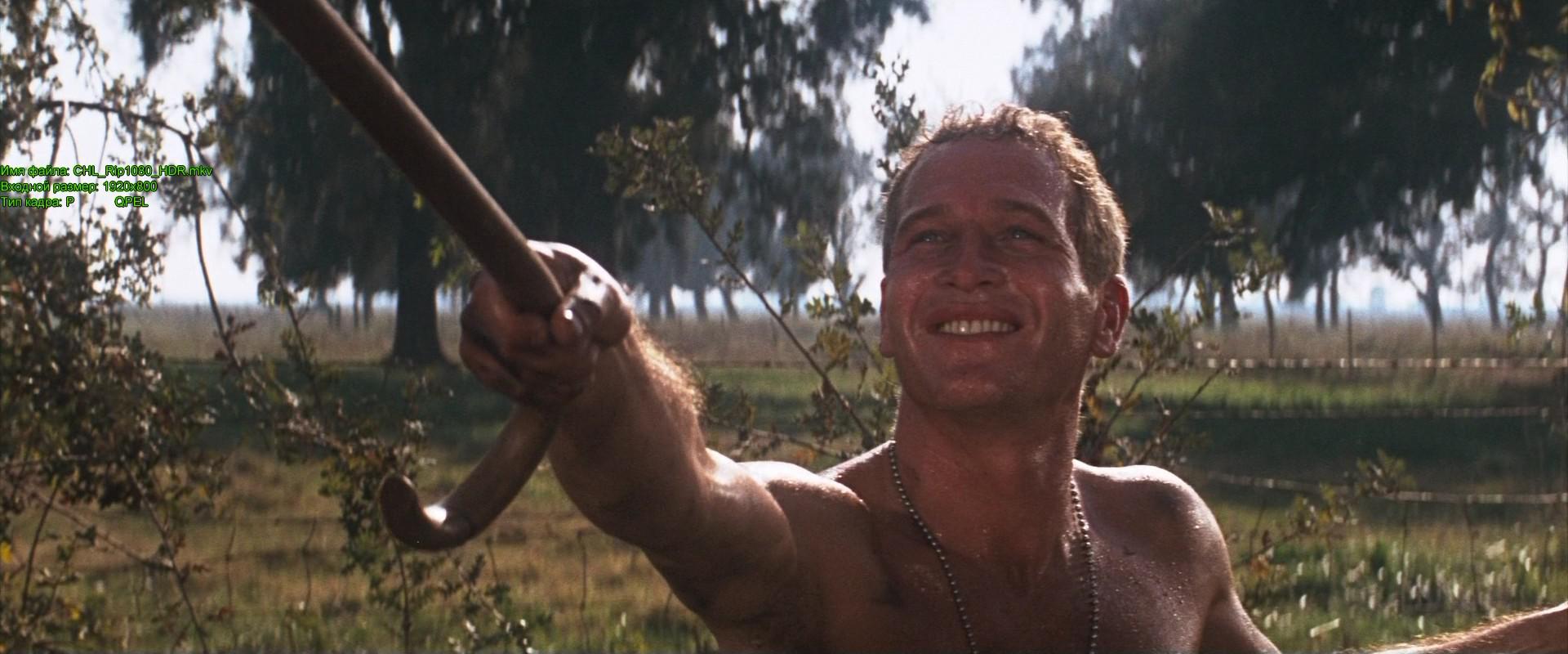 Кадр из фильма Хладнокровный Люк / Cool Hand Luke (1967)