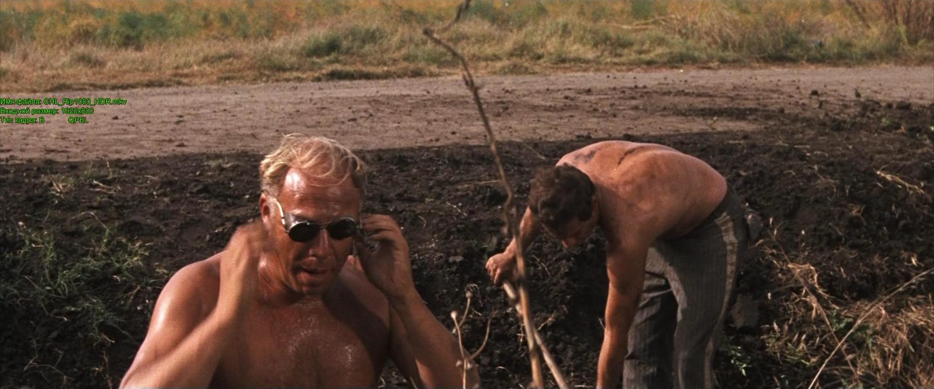 Кадр из фильма Хладнокровный Люк / Cool Hand Luke (1967)