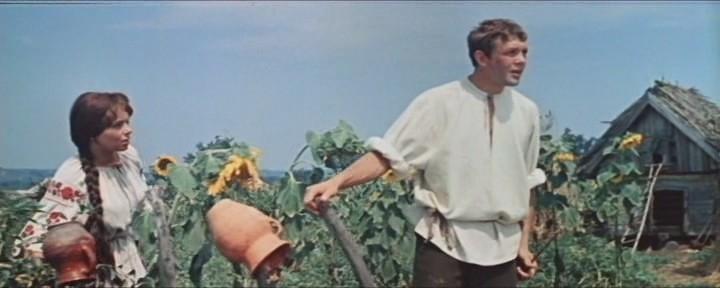 Кадр из фильма Свадьба в Малиновке (1967)