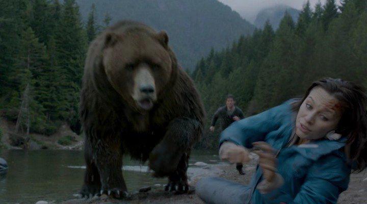 Кадр из фильма Гризли / Into the Grizzly Maze (2014)