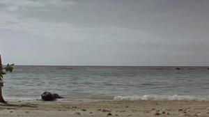 Кадры из фильма Ад в Тихом океане / Hell in the Pacific (1968)