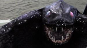 Кадры из фильма Чудовища Берингова моря / Bering Sea Beast (2013)