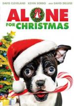 Одни на Рождество / Alone For Christmas (2013)