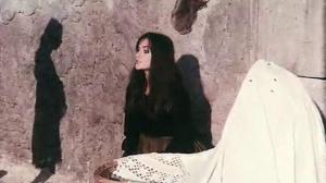 Кадры из фильма Насилие в песках / Le lys de mer (1969)