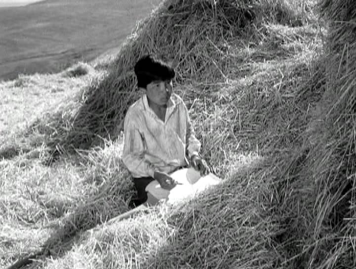 Кадр из фильма Джамиля / 1969 (1969)
