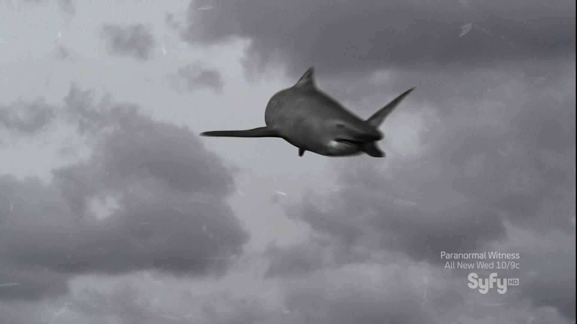 Кадр из фильма Акулий торнадо / Sharknado (2013)