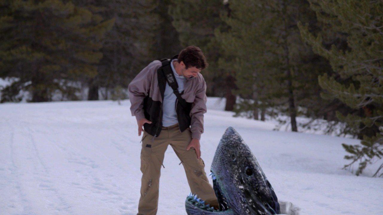 Кадр из фильма Горные акулы / Avalanche Sharks (2013)
