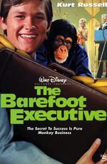 Босоногий директор / The Barefoot Executive (1971)