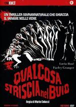 Что-то крадущееся в темноте / Qualcosa striscia nel buio (1971)