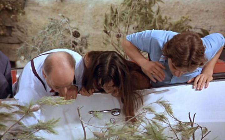 Кадр из фильма На древо взгромоздясь / Sur un arbre perché (1971)