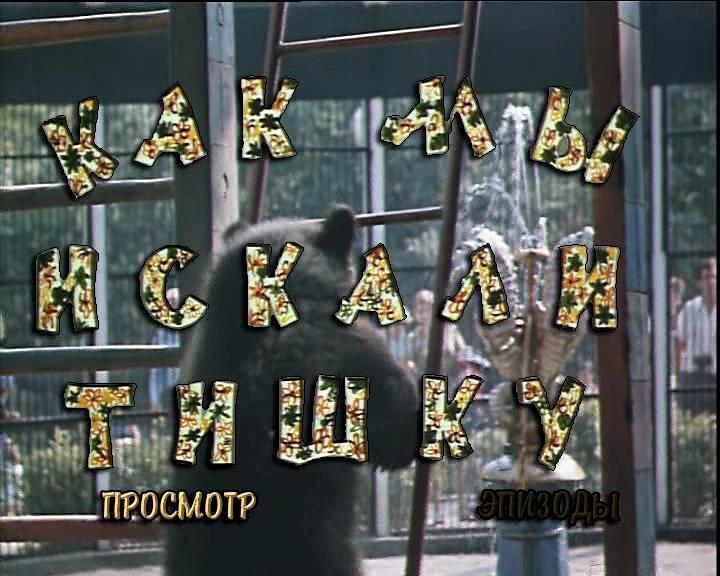 Кадр из фильма Как мы искали Тишку (1971)