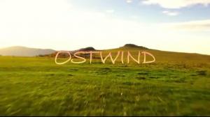 Кадры из фильма Восточный ветер / Ostwind (2013)