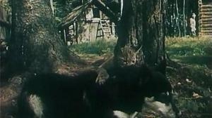 Кадры из фильма Тропой бескорыстной любви (1972)