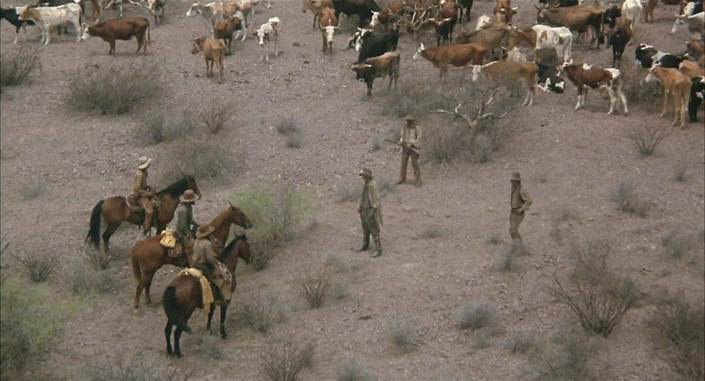 Кадр из фильма Скотоводческая компания Калпеппера / The Culpepper Cattle Co (1972)