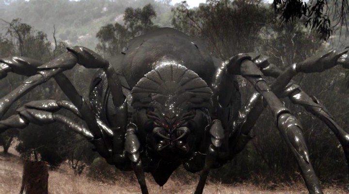 Кадр из фильма Мегапаук / Big Ass Spider (2013)