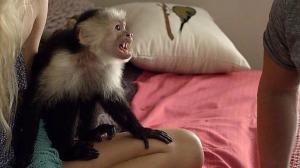 Кадры из фильма Летучие обезьяны / Flying Monkeys (2013)
