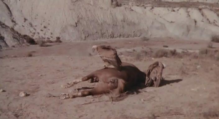 Кадр из фильма Земля Чато / Chato's Land (1972)