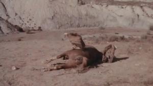 Кадры из фильма Земля Чато / Chato's Land (1972)