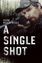 Единственный выстрел / A Single Shot (2013)