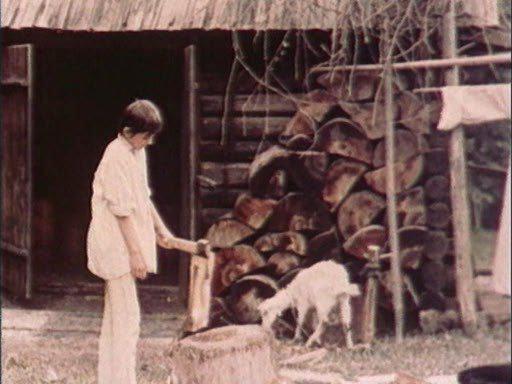 Кадр из фильма Белая птица с черной отметиной / Білий птах з чорною ознакою (1972)