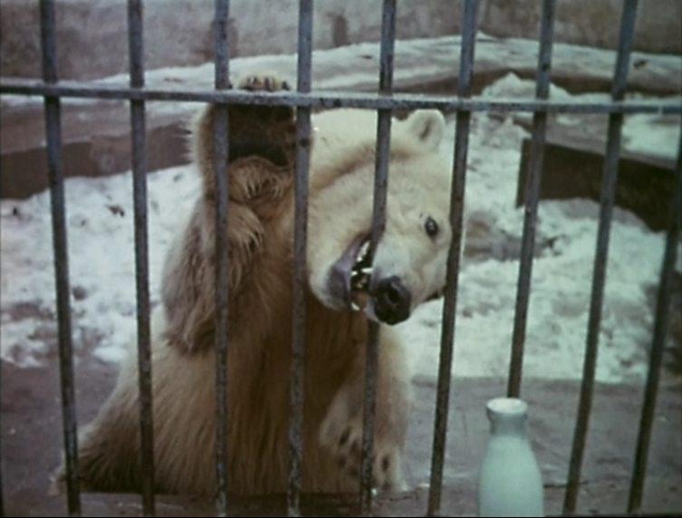 Кадр из фильма Эффект Ромашкина (1973)