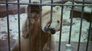 Кадры из фильма Эффект Ромашкина (1973)