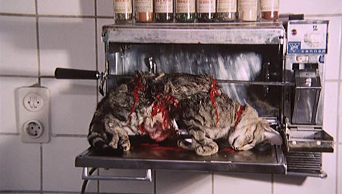 Кадр из фильма Из-за кошек / Because of the Cats (1973)