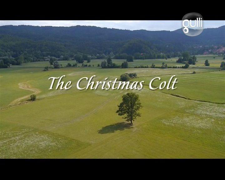 Кадр из фильма Рождественский жеребенок / The Christmas Colt (2013)