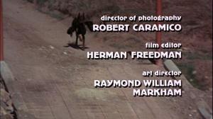 Кадры из фильма Отважные доберманы / The Daring Dobermans (1973)