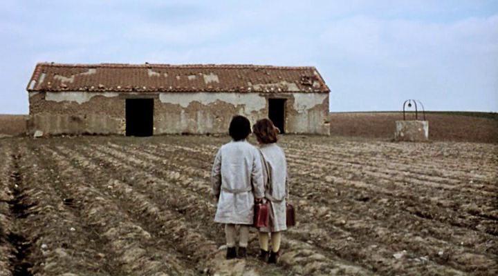 Кадр из фильма Дух улья / El espíritu de la colmena (1973)