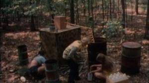 Кадры из фильма Жаркое лето в округе Бэрфут / Hot Summer in Barefoot County (1974)