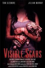 Видимые шрамы / Visible Scars (2012)