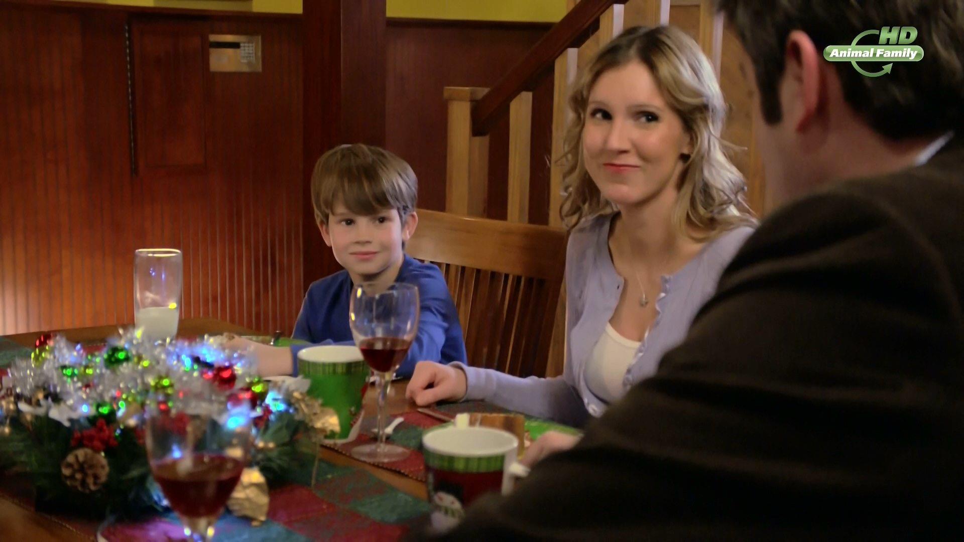 Кадр из фильма Приключения Бэйли: Рождественский герой / Adventures of Bailey: Christmas Hero (2012)