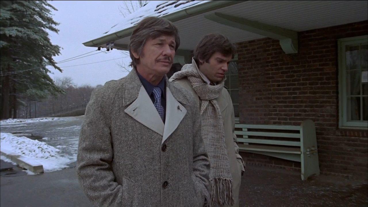 Кадр из фильма Жажда Смерти / Death Wish (1974)