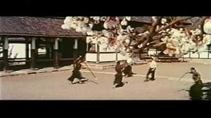 Кадры из фильма Сила Айкидо / Gekitotsu! Aikidô (1975)